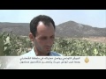 الجيش التونسي يواصل عملياته بمنطقة الشعانبي الجيش التونسي يواصل عملياته بمنطقة الشعانبي