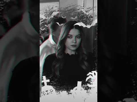 كداب كأنه مات رامي صبري الطائر الرفراف