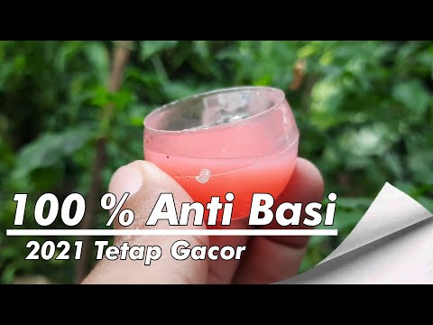 TIPS MEMBUAT NEKTAR AWET ANTI BASI 2021