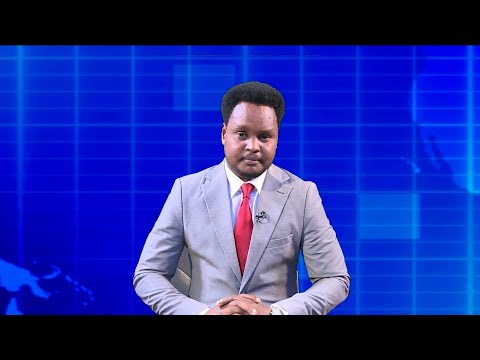 Warka Universal TV 13 11 2025