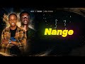 NZIZE KWEBAZA BY PAUL K MUSIC FT VANIEVINO Official Lyrics Video 