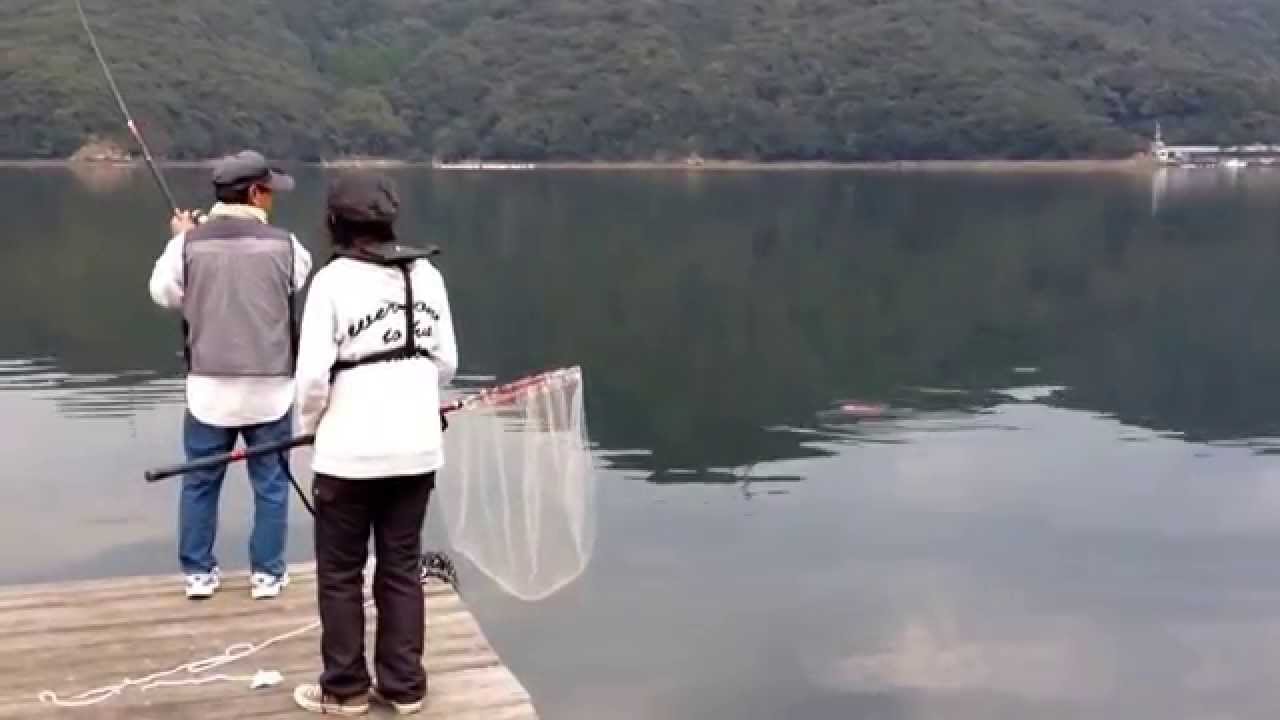 筏にて真鯛14 11 08 Youtube