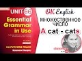 Unit 66 Множественное число в английском - PLURAL. Уроки английского для начинающих