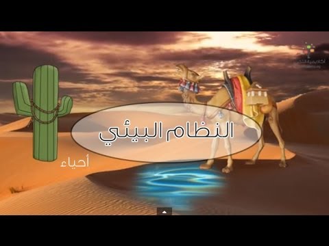 النظام البيئي | التوازن البيئي | علوم اولي اعدادي