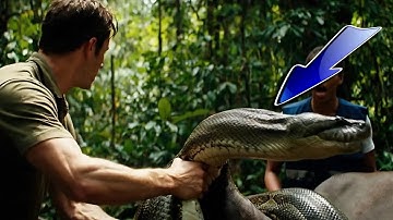 Brave Rescue Team Risks Their Lives to Save Cow from Giant Python’s Deadly Attack