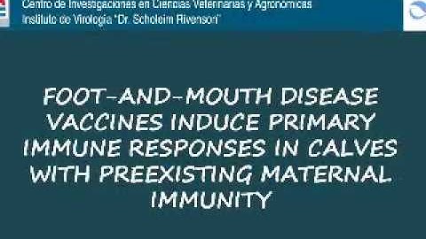 OS12 - Posters session. Cappozzo, Bucafusco et al
