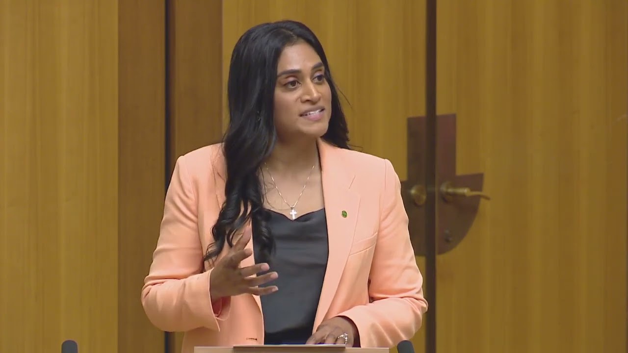 Local Government- Ash Ambihaipahar MP | Member for Barton NSW