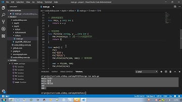 Go从入门到精通，只需要24天 P35 函数定义和defer