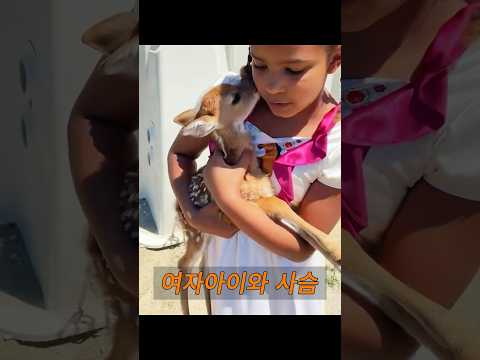 그 어린 소녀는 작은 사슴이 자신을 졸졸 따라다니고 있다는 것을 알게 되었다. #동물 #animals thumbnail
