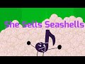 She Sells Seashells