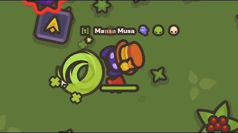 Taming.io - Invisible person bug showcase