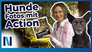 Hunde Fotografieren Mit Wau Effekt Tipps Fur Optimale Bildgestaltung Und Hunde In Bewegung Youtube