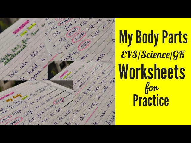 evs worksheet me and my body parts worksheet body parts activity youtube
