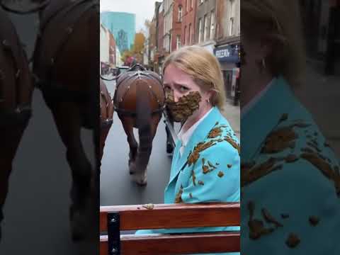 Absolutely Covered Horse SPLATTERS Woman S Face With Poop During Carriage Ride Fail