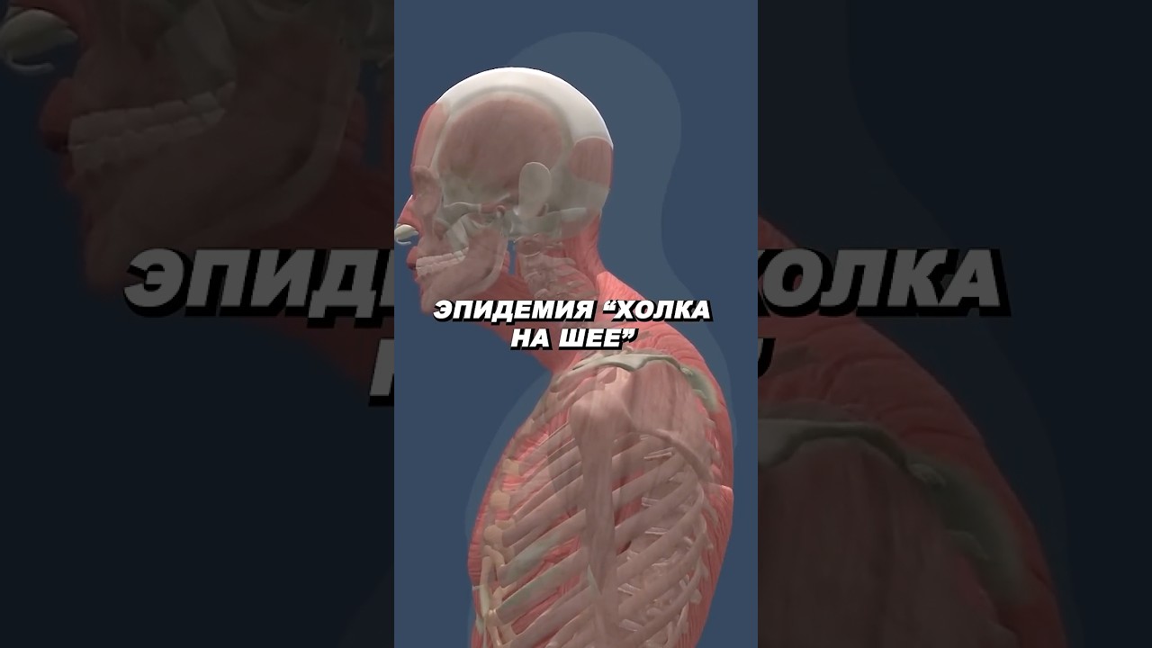 Что такое знаменитая "ХОЛКА НА ШЕЕ" ? (ЛАЙВХАК по удержанию головы) #shorts