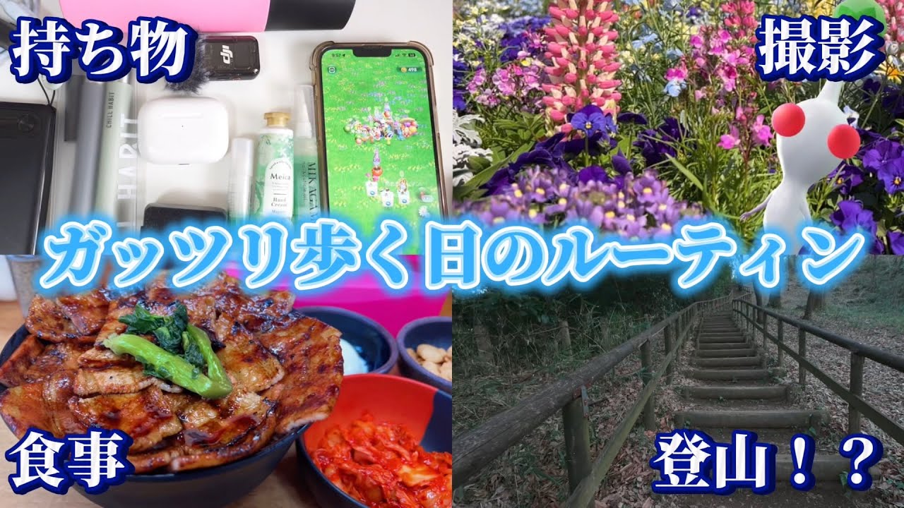 位置情報系ゲーム動画投稿者がガッツリ歩く時の1日ルーティン【#ピクミンブルーム / #PikminBloom 】