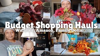 VLOG BUDGET SHOPPING HAULS Walmart Amazon Family Dollar restock my home and preparing for Fall