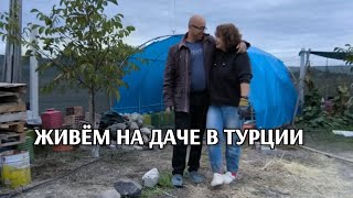 картинка: Живём на даче в Турции: закинули всё обратно/посадили хурму/ разложила навоз 🍓💪
