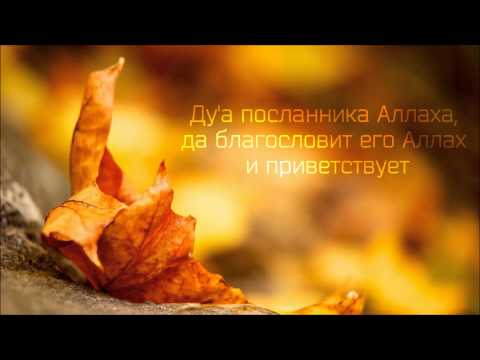 Абу Яхья Крымский: Ду'а пророка (мир ему и благословение Аллаха) . Стихотворение Аль-Хаиййа