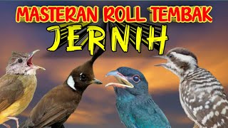 MASTERAN MURAI BATU fuFULL TEMBAKAN AMPUH MUDAH DITIRU UNTUK BURUNG FIGHTER SUARA JERNIH MATERI