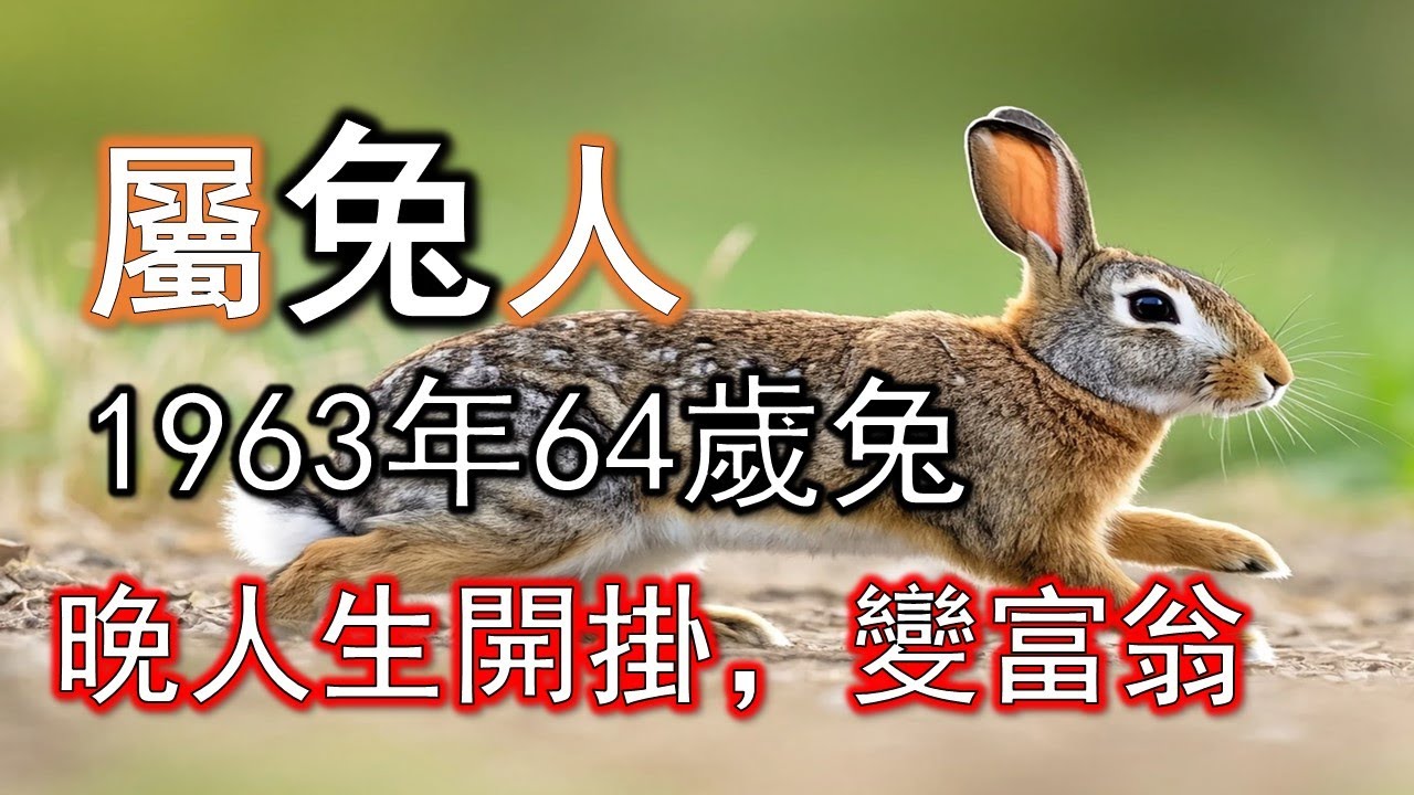 1963年屬兔人，天生聰明卻大器晚成，62一到人生開掛，福祿雙旺富翁命#生肖兔#屬兔人#1963 兔