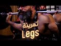   leg day push pull legs