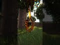 Giant bee in realistic Minecraft #minecraft #minecraftrealistic
