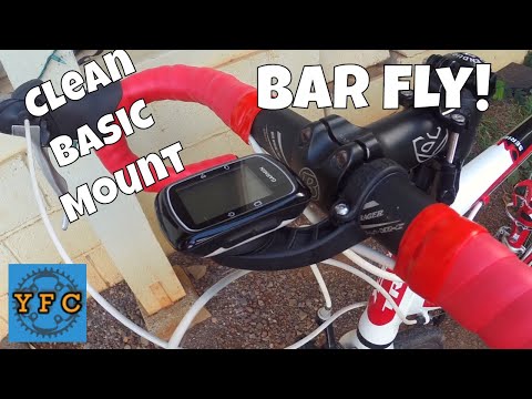 Bar Fly Review!