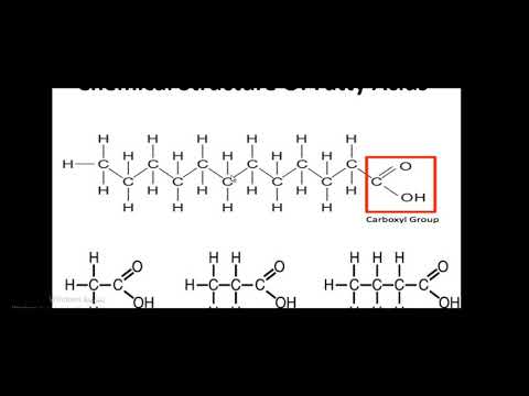 Biochemistry I -lipids