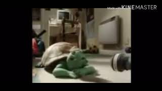 The Persian Turtle Meme - But Where Did It Come From? Read The Description.