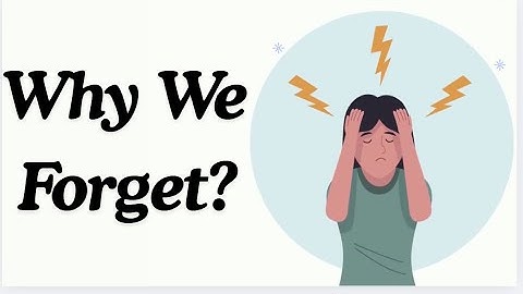 Why Do We Forget Everything We Learn? (And How to Fix It)