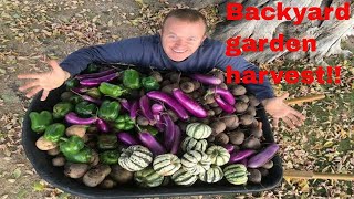Unbelievable Backyard Garden Harvest 2023