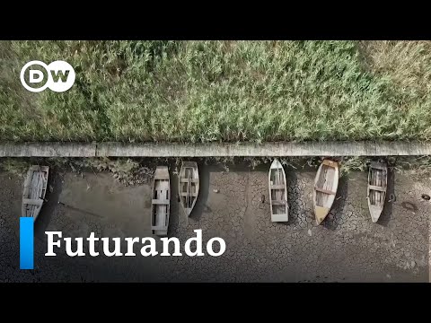 Vídeo: As mudanças climáticas contribuíram para os incêndios florestais na Califórnia?