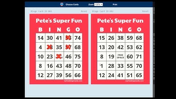How to Play Virtual Bingo Video
