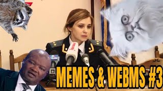 Memes Webms