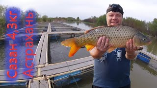 Астраханская Рыбалка На Понтонах 25.04.22 С. Икряное