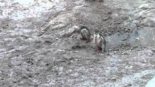 20110210_164632.avi