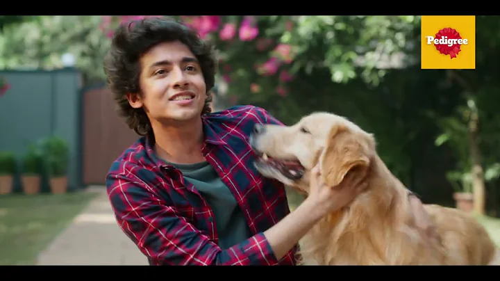 Switch to Pedigree and See the Difference in Just 6 weeks