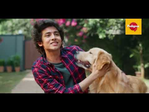 Switch to Pedigree and See the Difference in Just 6 weeks