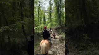 Passeggiate a cavallo nel Parco Regionale di Veio, adatte anche a principianti🐴