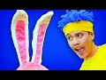 Bunny! Bunny! | D Billions Kids Songs