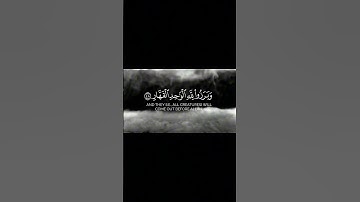 ✨ تلاوة خاشعة من سورة إبراهيم بصوت القارئ علي صلاح عمر | ترتيل يهز القلوب ✨