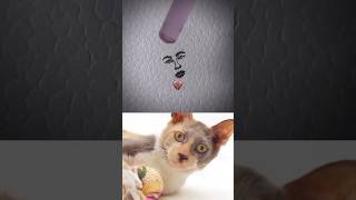 Funny Cat Video 😂😂😂#Shorts#Funkis #fails #memes