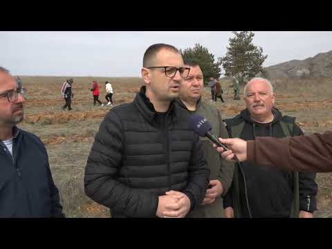 Дел од локалитетот „Маркови Kули“ пошумен со 6.000 садници на даб