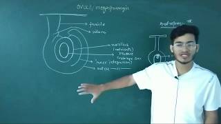 L9 Structure Of Anatropous Ovule Ft. Vipin Sharma