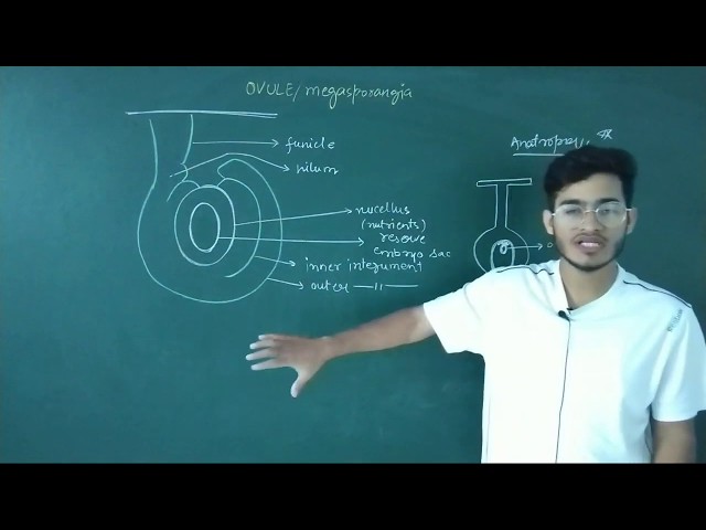 L9: Structure of Anatropous Ovule Ft. Vipin Sharma class=