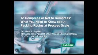 To Compress or Not to Compress: What You Need to Know About Packing Resins at Process Scale