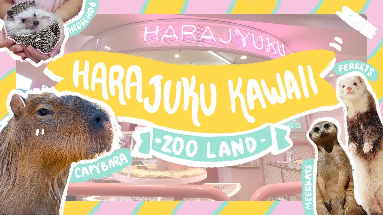UNIQUE animal cafe in Harajuku, HARAJUKU KAWAII ZOO LAND