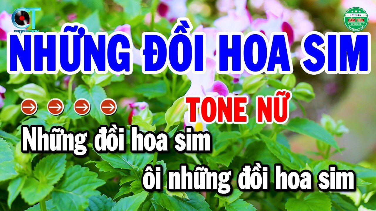 Karaoke Những Đồi Hoa Sim Tone Nữ Nhạc Sống Chuẩn Beat Dễ Hát | Cẩm Tiên Organ