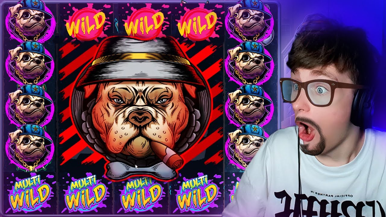 THE BIG DAWGS SLOT IS INSANE (BONUS BUY)